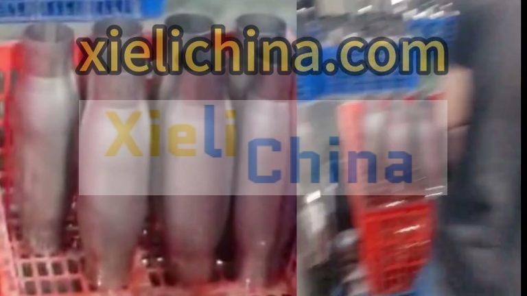 water bulging,water bottle,thermos,tumbler,mug Hydro forming machine china manufacturers.